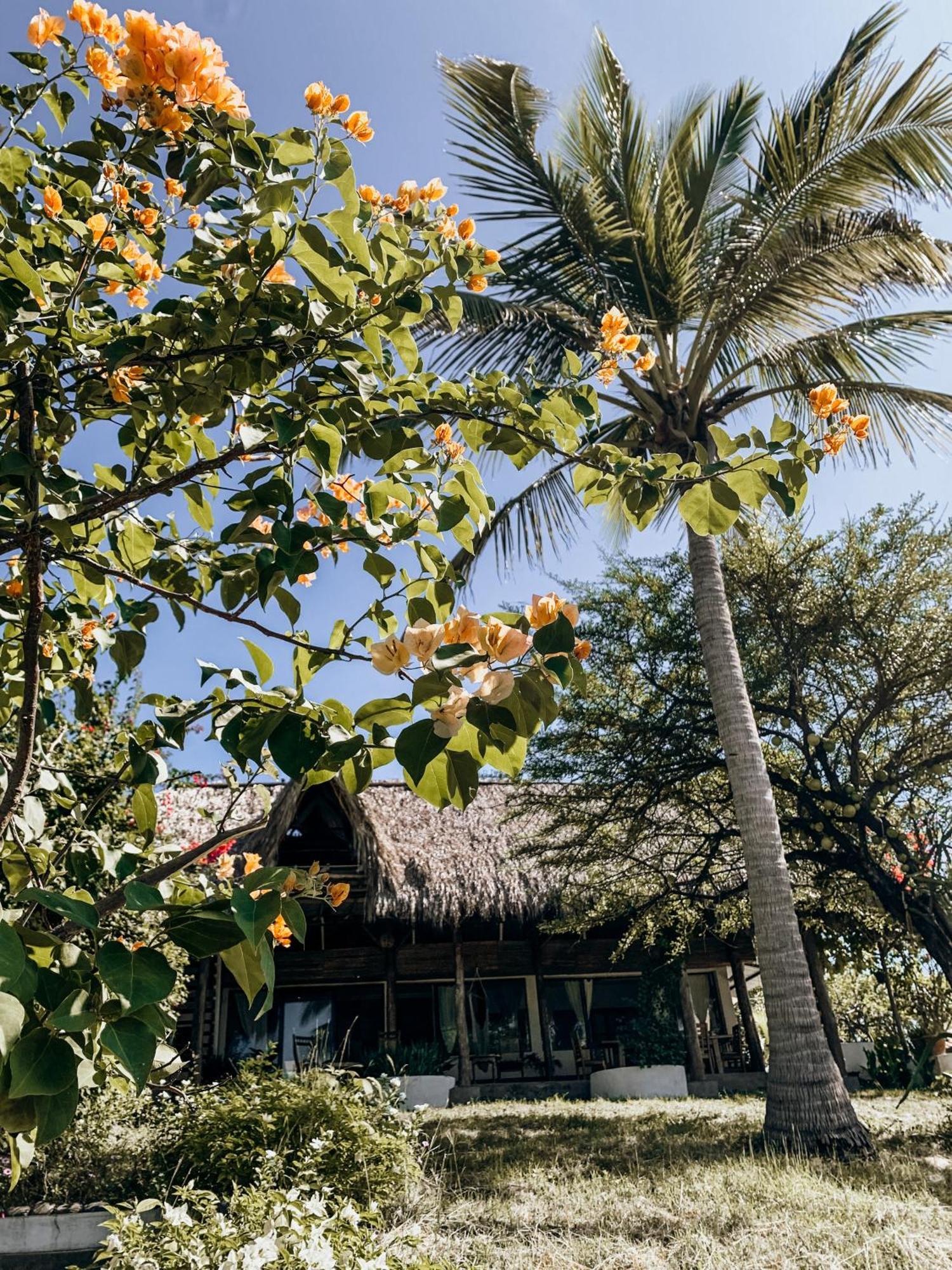 Nimbu Beachhouse Transito Eksteriør bilde